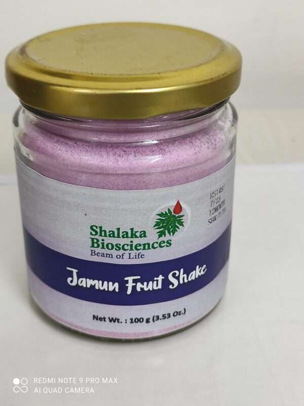 Jamun Fruit Shake